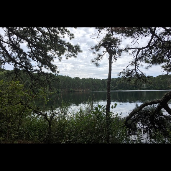 Meet your Posher, Anya - Picture 2 of 13